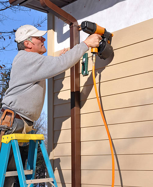 Affordable Siding Repair and Maintenance Services in Wilton, CA